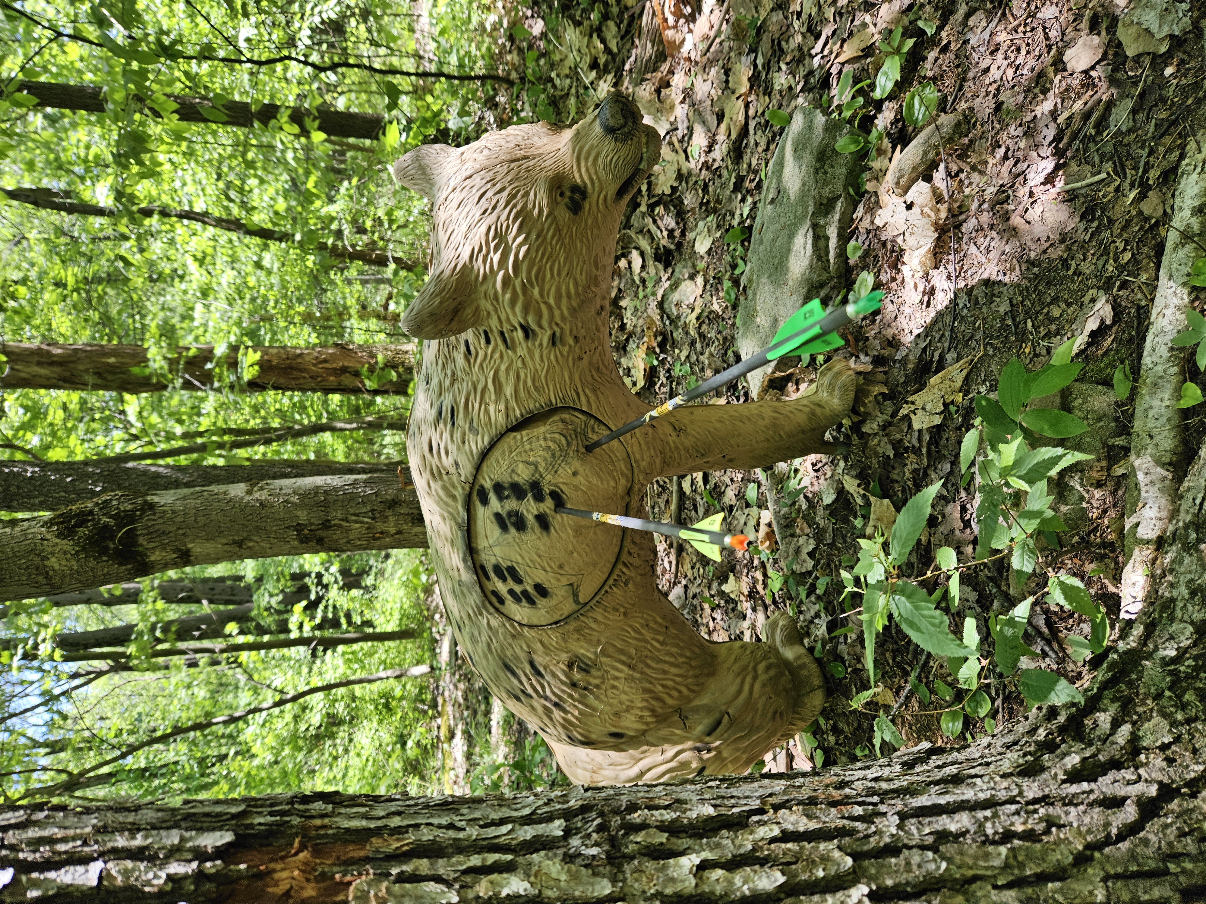 Norske buejegere på Total archery challenge i Seven Springs, USA