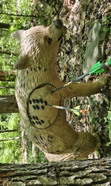 Norske buejegere på Total archery challenge i Seven Springs, USA Norske buejegere på Total archery challenge i Seven Springs, USA