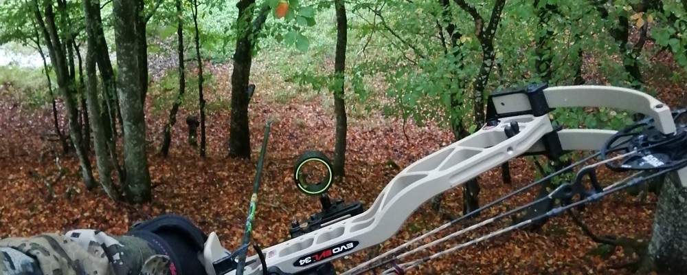 IMG 20221005 093102 (1)