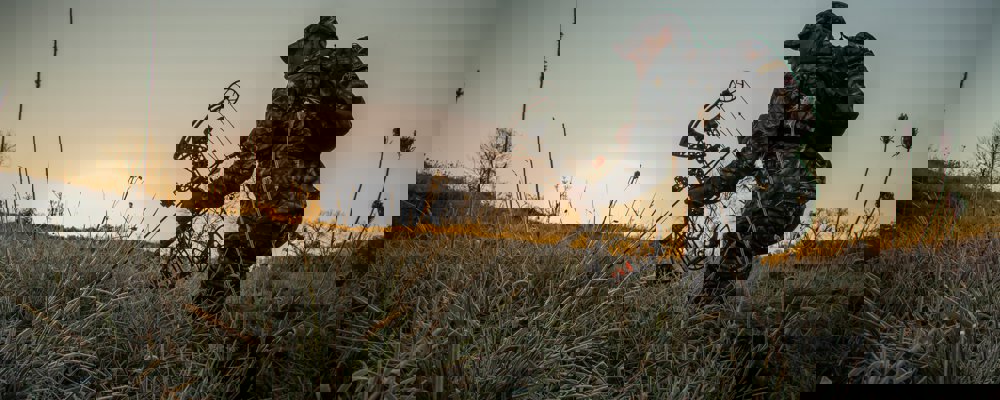 Parallax2 Parallax2