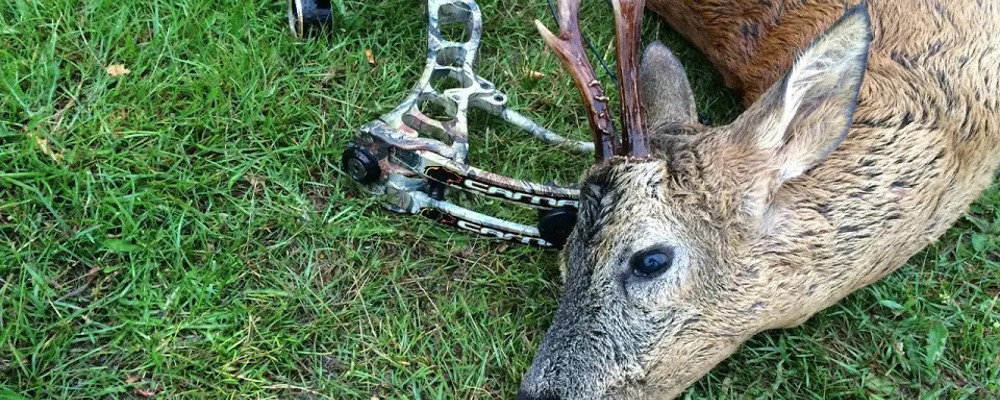 Oeivind Kragboen Bukkejakt 2015