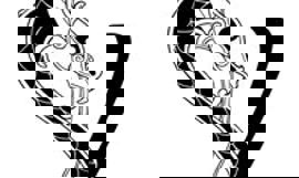 Valhall Valhall