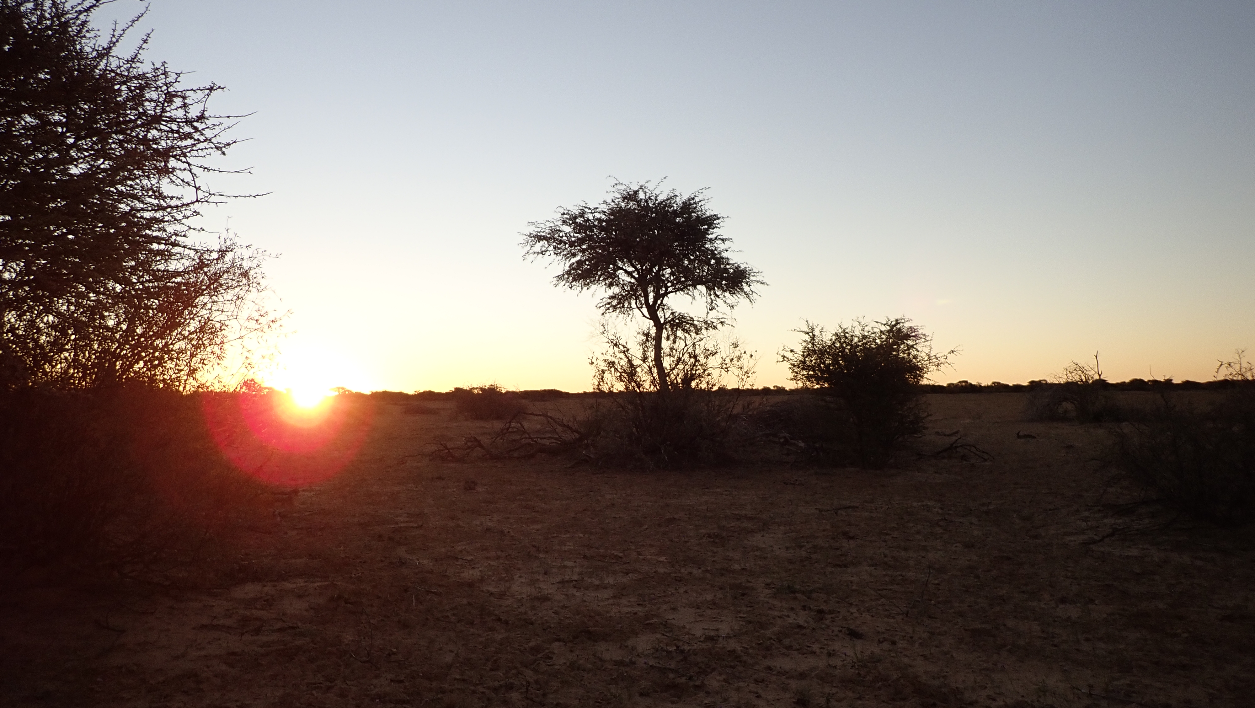 Tilbakeblikk på en jakttur til Sør-Afrika i 2019