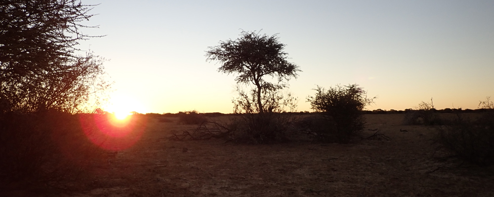 Afrika 2019 Afrika 2019