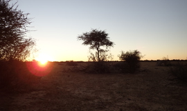 Tilbakeblikk på en jakttur til Sør-Afrika i 2019 Tilbakeblikk på en jakttur til Sør-Afrika i 2019