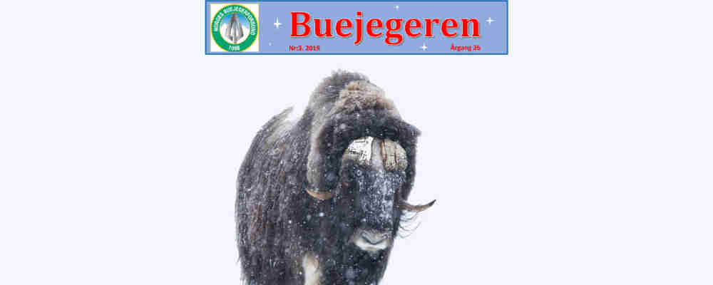 Buejegeren2019 3