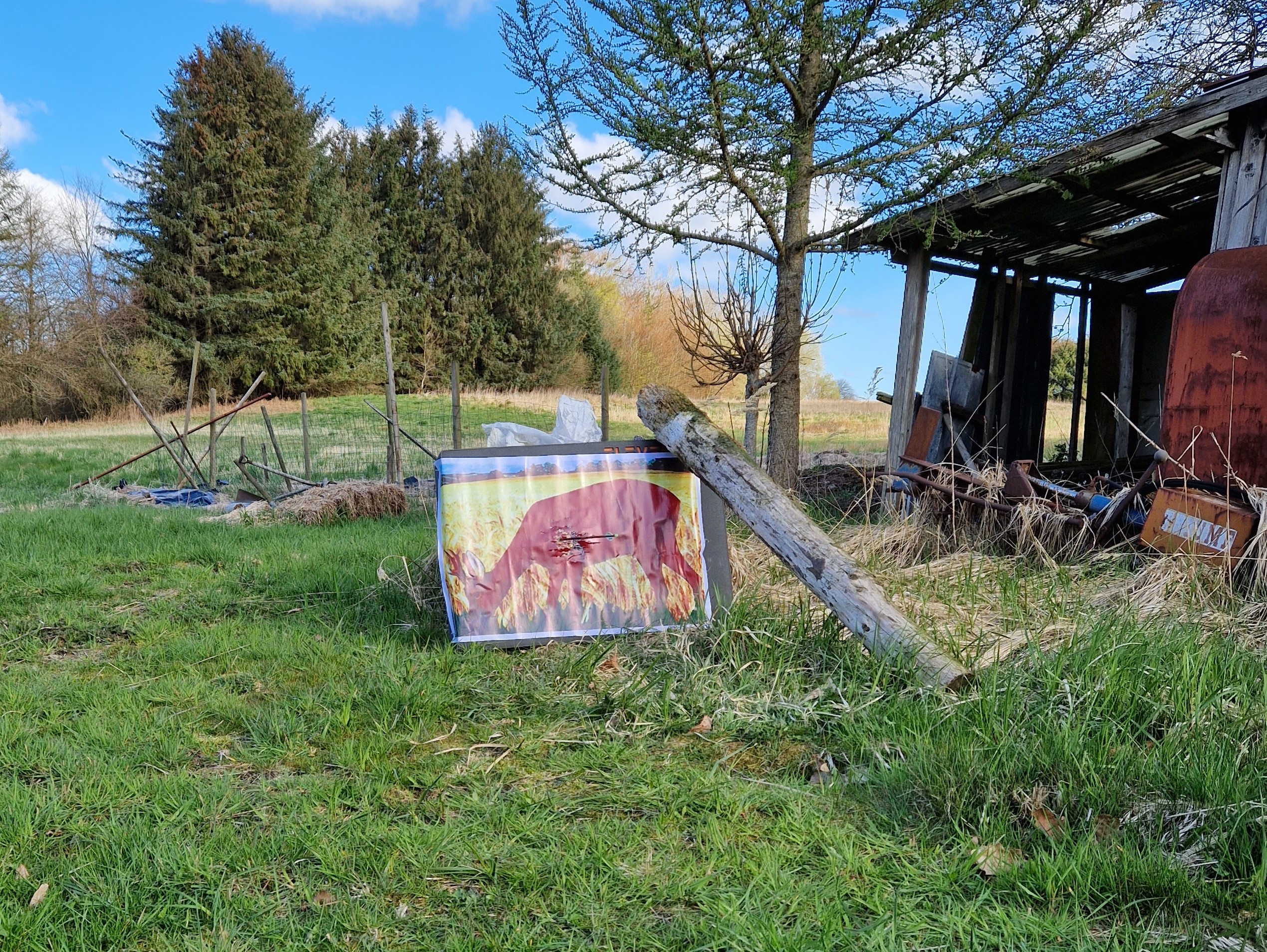 Oppskyting med bue i Danmark