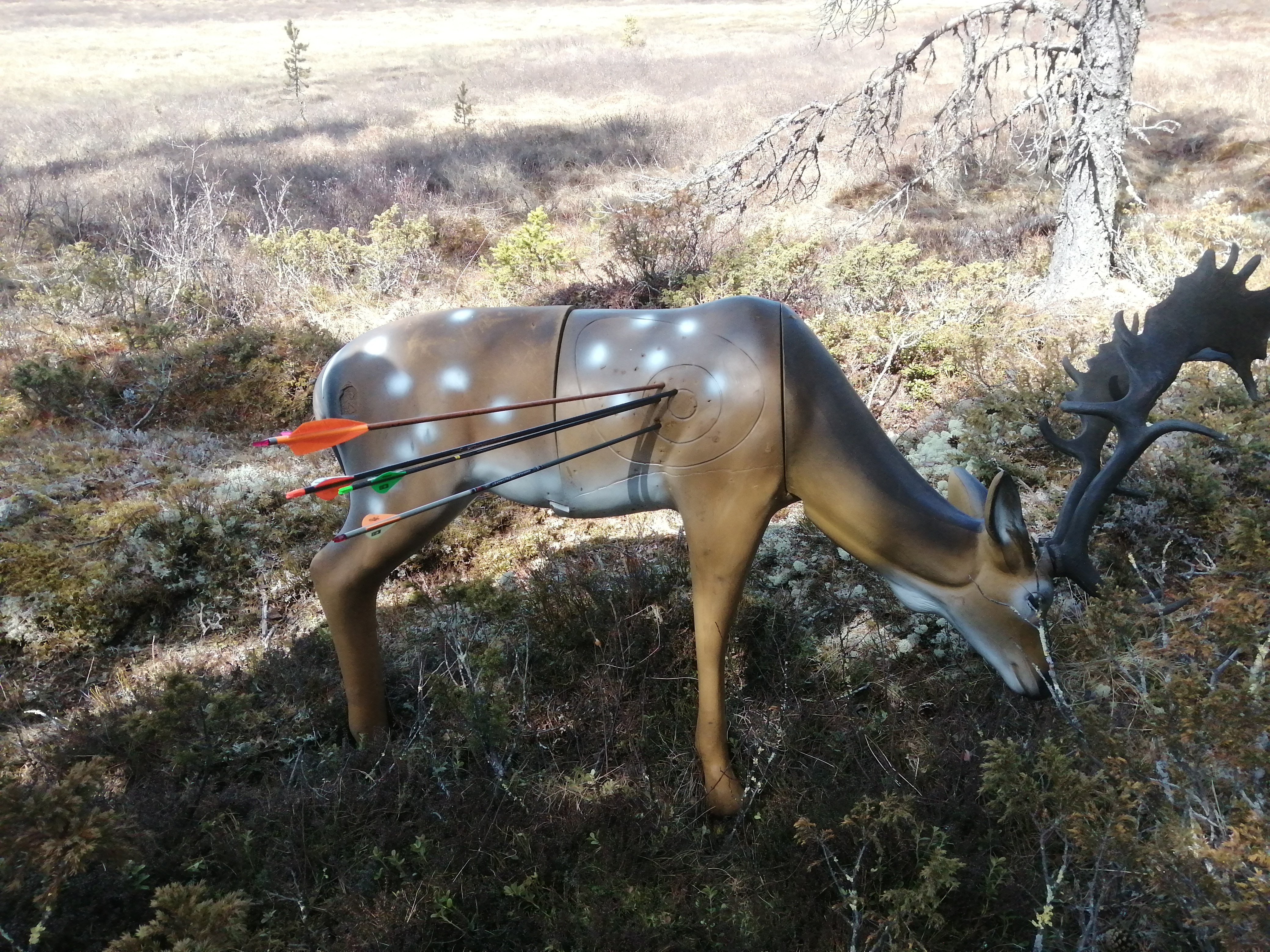 Årsmøtehelg 2025 hos Solør Bueskyttere