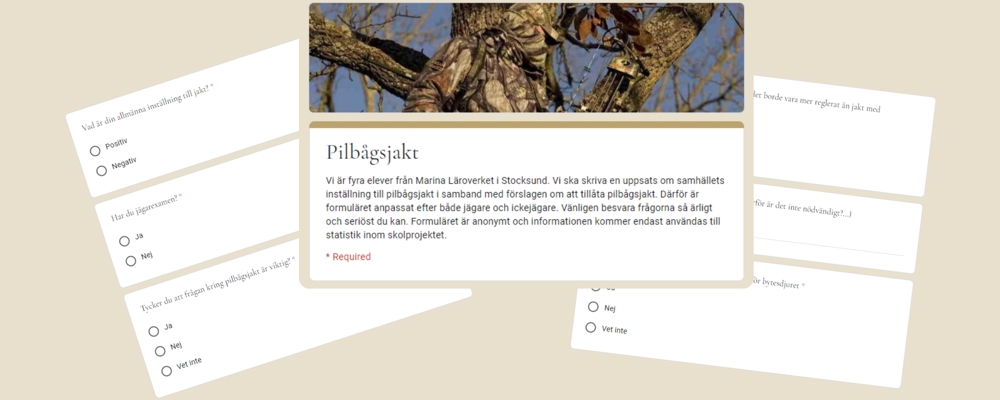 Pilbaagsjakt Questionair Pilbaagsjakt Questionair