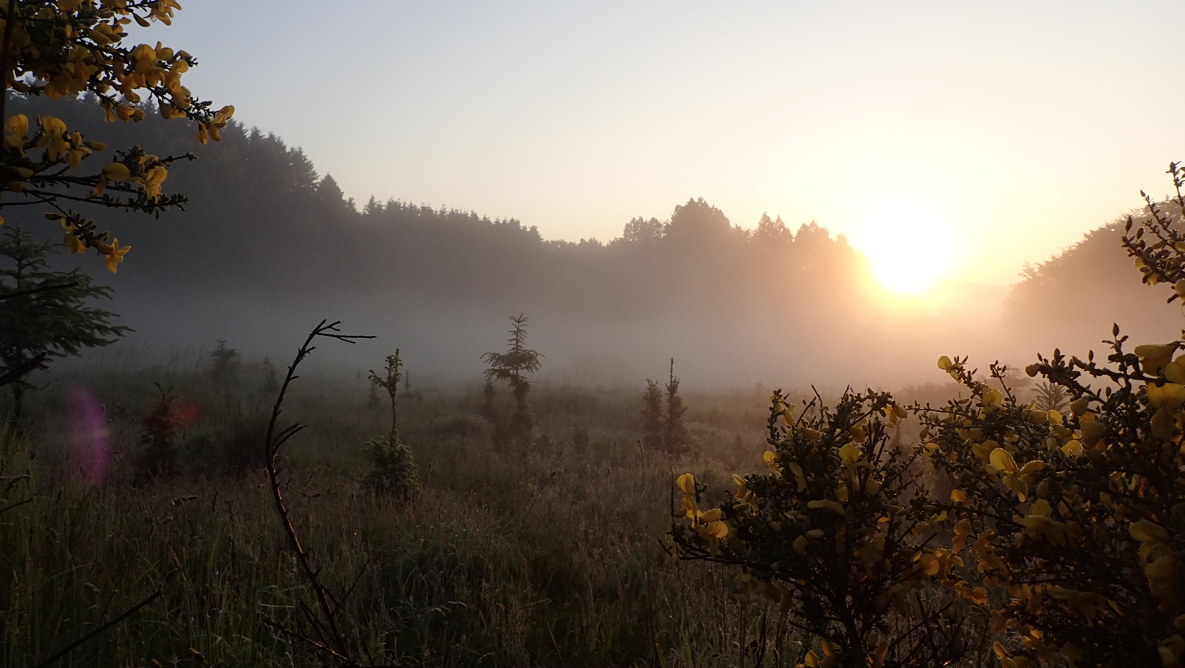 Sommerhilsen fra styret