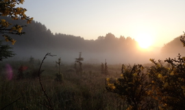 Sommerhilsen fra styret Sommerhilsen fra styret
