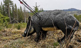 3d-løypen er tatt inn for vinteren 3d-løypen er tatt inn for vinteren