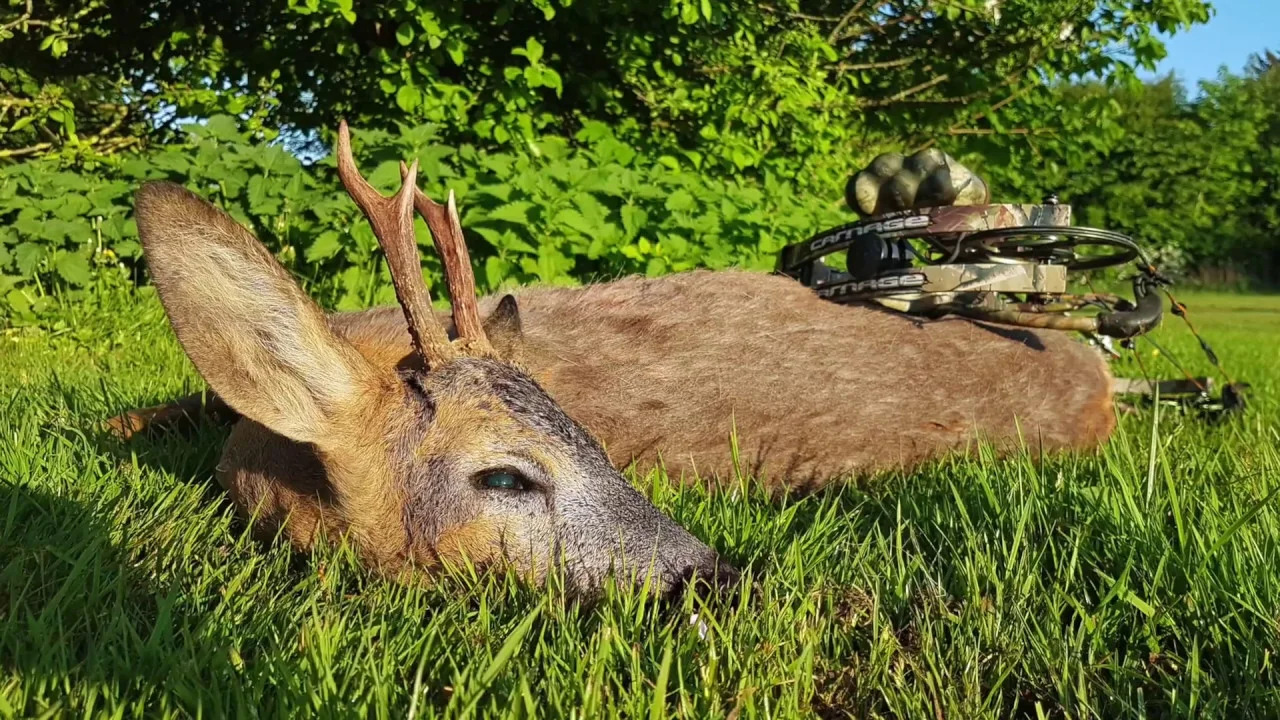 Oeivind Krageboen Bukkejakt 2018