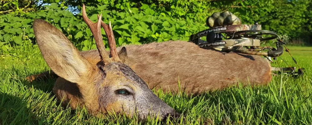 Oeivind Krageboen Bukkejakt 2018