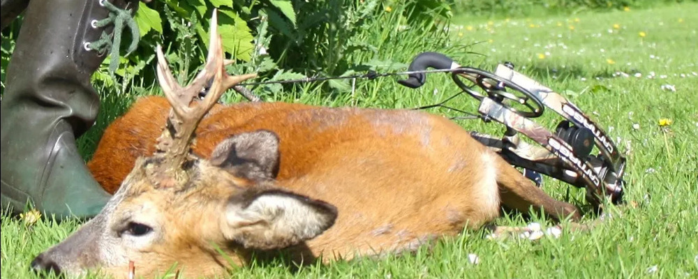 Oeivind Kragboen Bukkejakt 2014